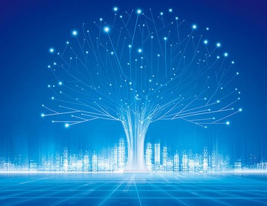 租用云服务器和独立服务器要注意什么？